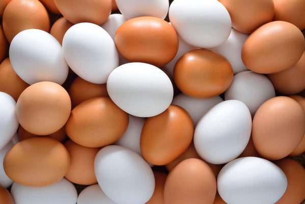 Are Eggs Halal?