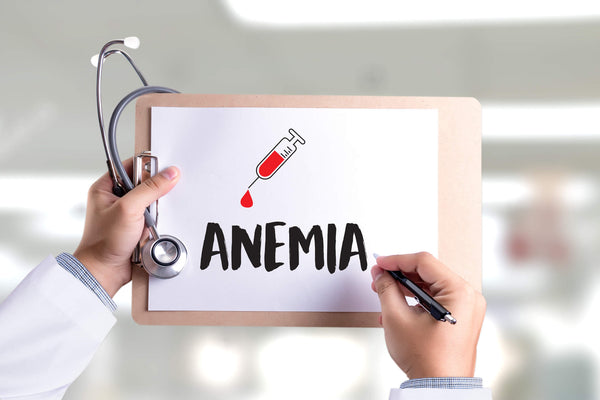 The role of iron in blood health and the prevention of anaemia