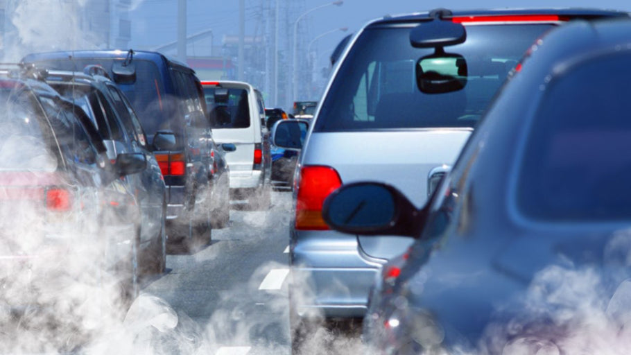 Air Pollution and your Children’s Health