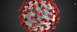 The Role of Vitamin D in Coronavirus