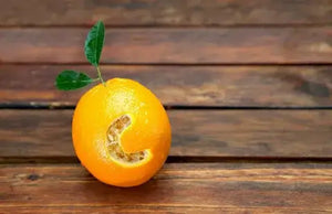 The role of vitamin C in immune system functions