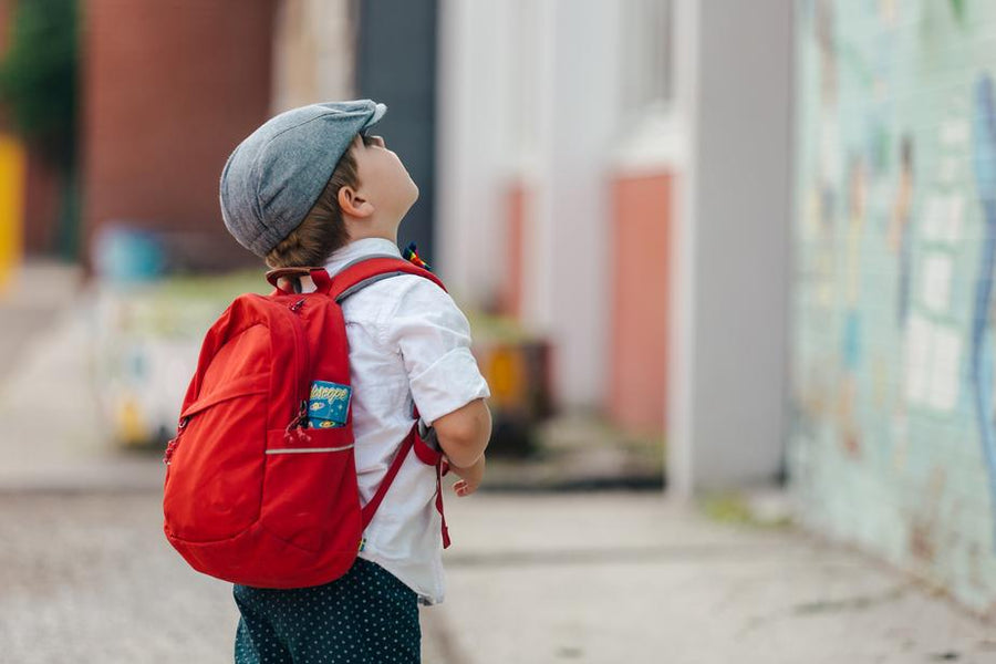 The School Summer Holidays in a Pandemic