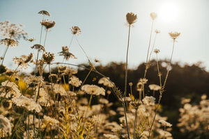 The Benefits of Fresh Air